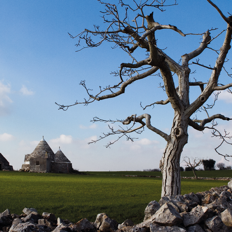 Costa dei Trulli, strumenti ed esperienze per un turismo accessibile: mercoledì 4 la presentazione