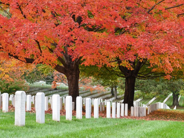 Completamento sesto lotto Cimitero, approvato il progetto per 624 nuovi loculi e 216 ossari